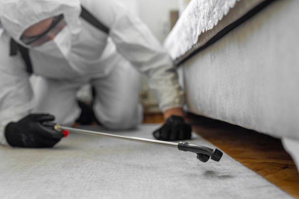 Professional Cockroach Control technician working in Foster City, CA