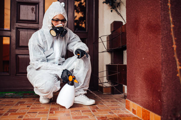 Reliable Cockroach Control contractor in Foster City, CA by Nex Pest Control